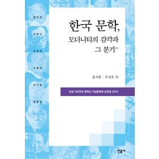 韓國文學 現代性的感覺與其分歧：誕生100週年文學家紀念文學節論文集 2014, 尹知寬, 柳成浩, 民音社