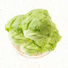 양상추 친환경 국내산 제철 아삭한 양상추 신선채소 샐러드용, 2kg, 1개, 양상추양상추(200g~300g)