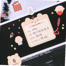 임신부선물 초음파 앨범 꾸미기 임신초기선물 세트