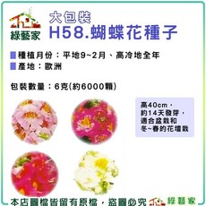 綠藝家 H58.蝴蝶花種子 6克(約6000顆)