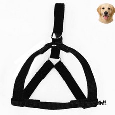 애견 하네스 세트 블랙 M 강아지하네스