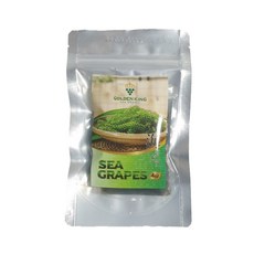 훈훈수산 바다의 보석 (우미부도) 바다포도, 100g, 3개