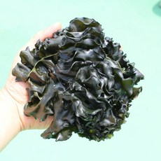 햇 미역귀 통으로 냉풍건조 완도산 300g, 1개
