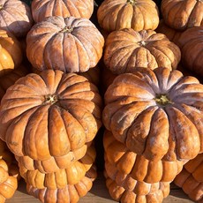 달큰한 늙은호박 호박즙용 맷돌호박 4kg 5kg 6.5kg, 1개