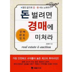 돈 벌려면 경매에 미쳐라, 버들미디어, 김정한