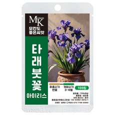 모칸도 좋은씨앗 타래붓꽃 씨앗 100립 아이리스 일반종 꽃씨 꽃씨앗, 1개