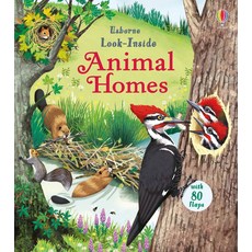 Look Inside Animal Homes : life-the-flap, Look Inside Animal Homes : l.., Emily Bone(저), Usborne Publishing Ltd