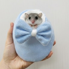 슈가글라이더 피그미다람쥐 햄스터 리본은신처 리본포치, 1개, 파랑