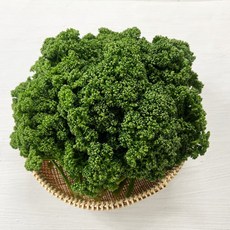 야채이야기 생파슬리 1kg 생 파세리, 1개