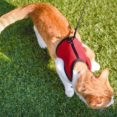 고양이가슴줄 고양이산책할때 소형동물 하네스리드줄 L 리드 소형동물산책, 레드