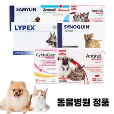 베츠페츠 베토퀴놀 벳플러스 버박 넬라펫 강아지 고양이 영양제 신장 관절 오메가3 유산균 칼슘 레날 안티놀래피드, 1개