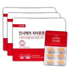 잇몸 칼슘 영양제 알 약 재생 치아 건강 프로폴리스, 3세트, 60정