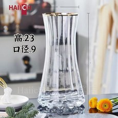 HAIICH 玻璃花瓶 創意簡約 水培花器 適用於客廳插花擺件, 大號輕奢描金透明(加厚一級品)