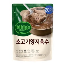 CJ 비비고 진국육수 소고기양지, 500g, 20개