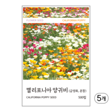캘리포니아 양귀비(금영화) 혼합 씨앗 500립, 5개