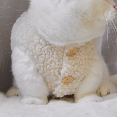 뽀글이 강아지조끼 고양이 강아지겨울옷, 아이보리, 1개