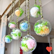 주방용품 원형 투명 공 캡슐 아크릴 볼 5cm 1p 반구 구