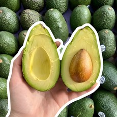 [초특가2주할인] SNS강타 크리미 아보카도 항공직송 avocado, 1박스, 특대과 (10과)