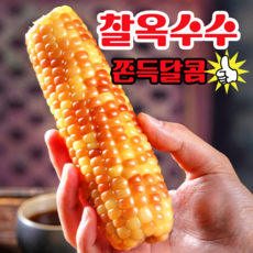 [50박스한정할인] 쫀득달콤한 냉동홍찰옥수수 무첨가 찰옥수수, 1박스, 10입 (대,12-14내외)