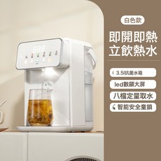 跨境即熱飲水機大容量小型家用速熱直飲機桌面臺式智能數顯燒水壺, 1個, 1L, 單機【彩屏】:美規110V