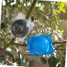 공중부양뿌리 공중뿌리 취목볼 4개, 투명 대 4개 01274WT