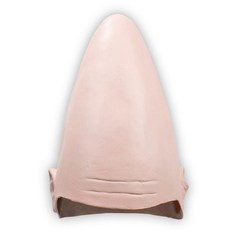 외계인 코스프레 모자 쓰고 키즈체험 할로윈 인형탈 있죠 의상 졸업사진 파일럿 분장 뾰족
