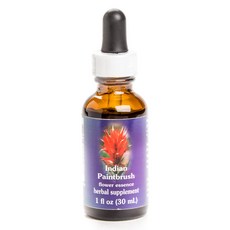 Flower Essence Services 印度畫筆花精, 30ml, 1瓶