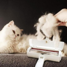 반영구털제거 애완 동물 털 제거 반영구 돌돌이 강아지 빠짐 브러쉬, 본상품