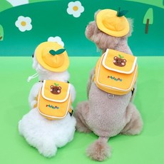 패리스독 강아지가방 하네스 유치원백팩 가슴줄 모자포함, 1개