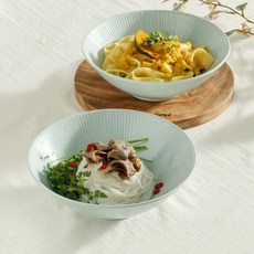 코스트코 윤도자기 와이드 누들볼 세트 2P