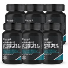 뉴센트리 프로테오글리칸 비변성 2형 콜라겐 연어코연골 추출물 분말 정 상어연골 콘드로이친 글루코사민, 60정, 6개