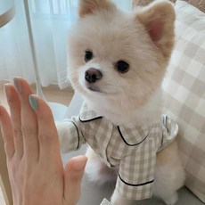 강아지 체크 파자마 편안한 반려견 홈웨어 잠옷, 베이지 체크, 1개