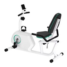 세종 L-BIKE 실내 좌식자전거 실내자전거 흰색 검정색 가능, 화이트