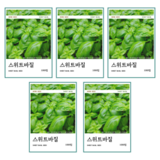 스위트바질 씨앗 1000립, 5개