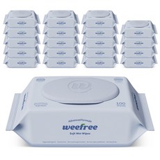 위프리 소프트 블루 아기물티슈 캡형, 20개, 100매, 50g