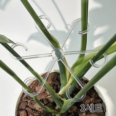 파파가든 바람개비 식물지지대 (투명 4가지 사이즈 1set) 화분 화초 꽃 지지대, 3세트