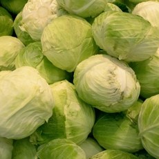 국내산 양배추1.5kg 내외 1개, 1.5kgx1개