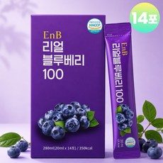 블루베리 스틱 20Brix 블루베리즙 농축액 무첨가 100% 미국산 식약청 HACCP 인증, 1개, 280ml