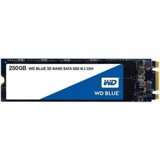 웨스턴 디지털 250GB WD 블루 3D NAND 내장 PC SSD SATA III 6Gbs M.2 2280 최대 550MBs WDS250G2B0B, Old Generation