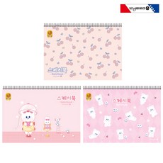모닝글로리 초등 스케치북 3000 학생용 B 향균표지, 3000스케치북 B여아 디자인랜덤