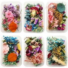 麥手作 乾燥花材料組, B透明盒裝