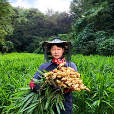 생강 햇생강 흙생강 25년 국산 영주, 1개, 흙생강(특품) 1kg