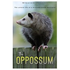 (영문도서) The Oppossum: The Untold Life of a Misunderstood Marsupial Paperback, Independently Published, English, 9798340308948