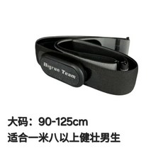 Polar H0 폴라 모니터 체크 스트랩, B. 블랙헤드대형 스트랩