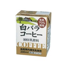 시로바라 일본 커피 음료 200ml x 12개