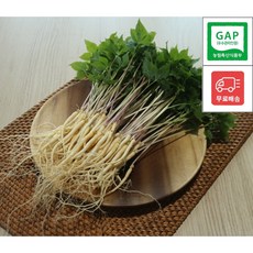 [류씨농장] 국내산 GAP인증 프리미엄 새싹인삼 당일수확 업소용/가정용, 1g, 30개, 대