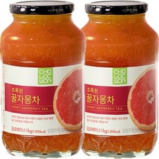 초록원 2Kg(1kg 2병) x 꿀자몽차, 1kg, 2개