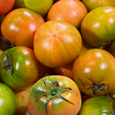 토마토 대저 완숙 찰토마토 대저토마토 가정용, 1박스, 대저 완숙 찰토마토 2.5kg 랜덤과