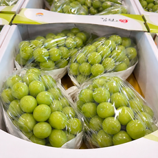 [레몬990] 당도선별 프리미엄 샤인머스켓 초특가, 샤인머스켓 / 1kg / 가정용 / 2-3과, 1개