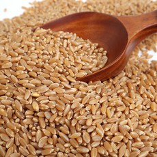 푸드푸 2025년산 햇 호라산밀 슈퍼푸드 고대곡물 정식수입 터키산, 2개, 2kg